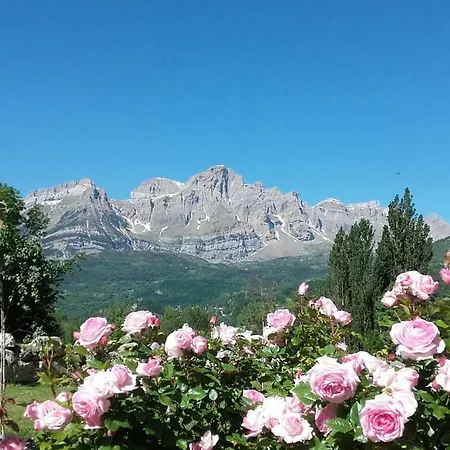 Campsite Panticosa Lodge
